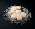 Premium Japanse Coquilles – 250 GRAM